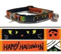 Black Cat Halloween
