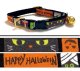 🎃Grey Cat Halloween