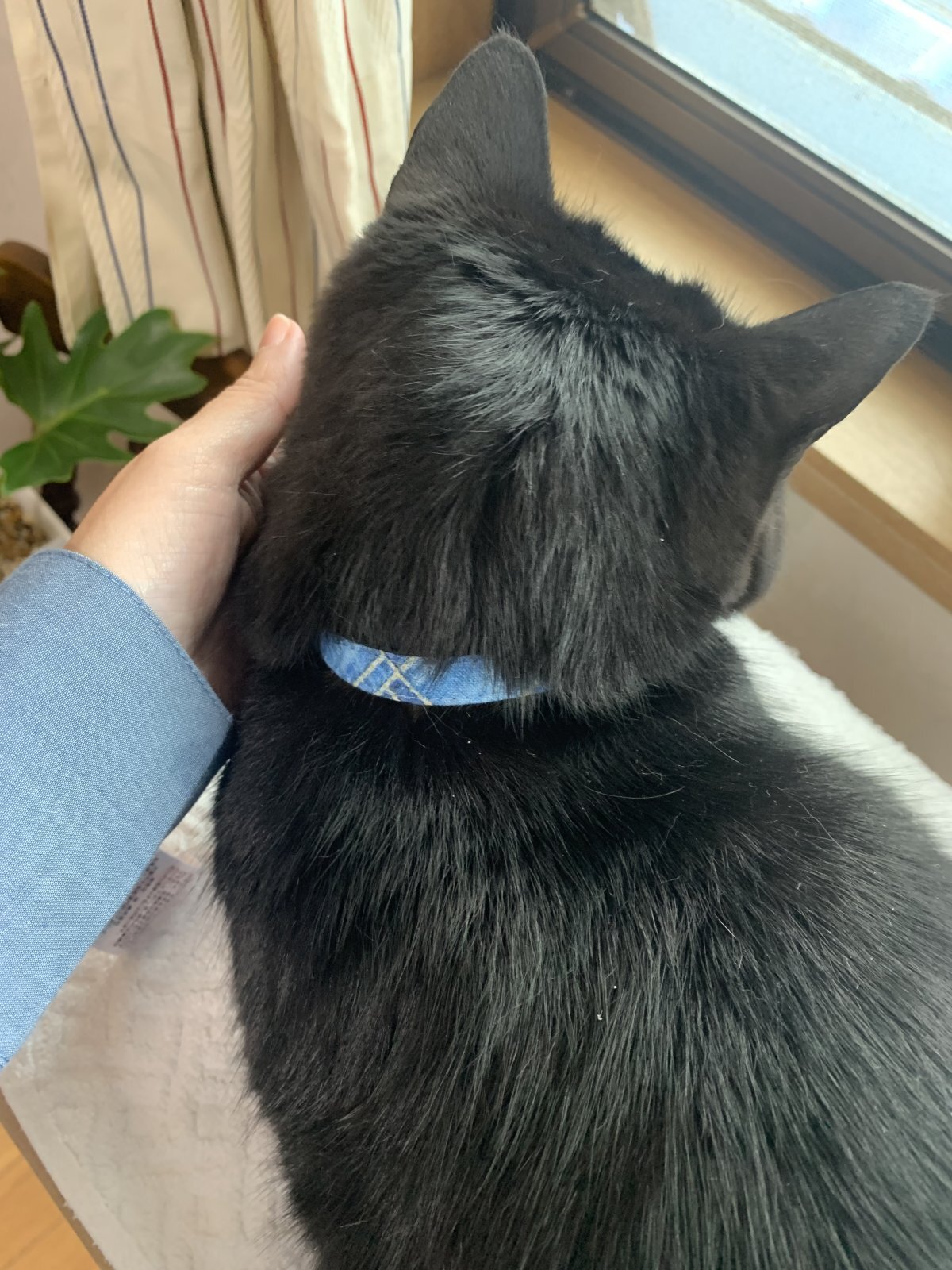 画像: love and denim